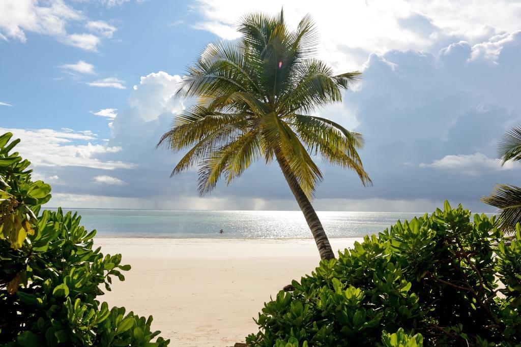 Hodi Hodi Zanzibar Hotel Làng Làng Pwani Mchangani Ngoại thất bức ảnh